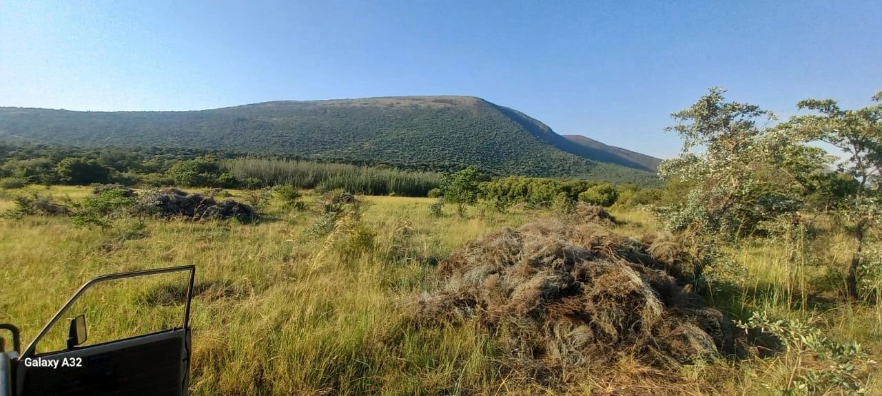African savanna landscape with mountain